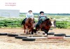 Фото Занятия конным спортом !
