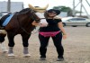 Фото Фотосессии с лошадьми