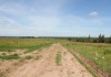 Фото Продам земельный участок 8 сот в небольшой удаленности от деревень Никулино, Заворово, Коробово.
