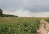 Фото Продаю земельный участок 2.45 Га около деревни Прудки Раменского района. В 18 км От МКАД