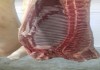 Фото Охлажденное мясо свинины оптом