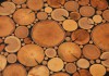 Фото Эксклюзивные пуфы из дерева (садовая мебель). Ручная работа.