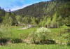 Фото Распродажа земли в Горном Алтае! 5 гектаров. Скидка 65%