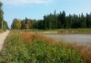 Фото Участок 15 соток у лесного озера 37 км от МКАД в Дмитровском р-не