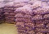 Фото Продается картофель +5 от 10 тонн. Урожай 2017г.