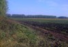 Фото Продам землю сельхозназначения