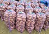 Продам молодой картофель оптом в Краснодарском крае, урожай 2018 года, картофель оптом краснодар