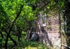 Фото Очаровательный участок 1 гектар с домиком и банькой, лес.