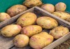 Фото Продам картофель домашний