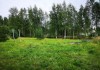 Фото Продам участок в СНТ Спутник в 15 км от г Выборга