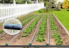 Фото Капельная лента полива растений эмиттерная КЛ длина 25 метров шаг 30 см