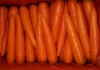 Морковь мытая оптом от 1 тн Москва
