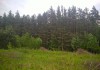 Фото Уютный земельный участок 25 соток ИЖС на лесной опушке под Псковом