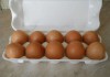Продаю яйца куриные