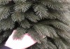 Фото Искусственные ёлки, ели, сосны, с доставкой в Краснодаре