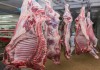 Фото Мясо оптом куриное, говядина, баранина