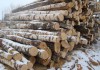 Фото Продам дровяную березу и готовые дрова