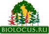Фото Биолокус – питомник саженцев деревьев и растений, продажа, доставка и посадка