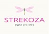Фото Digital агентство Strekoza-продвижение вашего бизнеса в сети.