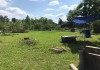 Продается участок земли с летним домиком в деревне Мишнево, Щелковский район