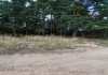 Фото Участки, от 10 соток, Рязань, рядом с озером и на опушке многолетнего леса!.