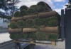 Фото Рулонные газоны Сочи. Красиво и удобно