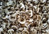 Фото Сухие белые грибы