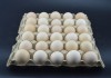 Фото Линия для производства бугорчатых прокладок для яиц-боксов