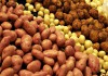 Фото Продовольственный картофель разных сортов