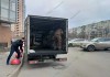 Профессиональная перевозка по Санкт-Петербургу и ЛО с грузчиками