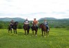 Фото Конные прогулки и конные походы в Сочи