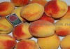 Фото Саженцы персиков из питомника в Подмосковье
