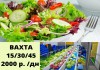 Упаковщики-фасовщики овощей на вахту от 15 смен с проживанием в Москве