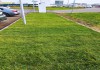 Фото Ростовские рулонные газоны — укладка газона