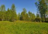 Фото Участок в п. Старотеряево у реки и леса. Ижс. Собственность