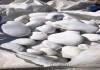 Фото Доставка мраморного щебня, крошки, песка