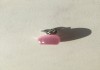 Фото Кулон подвеска яблоко бижутерия камень кошачий глаз розовый sunliht украшение украшения сваровски ст
