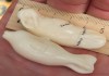 Фото Костяные брелоки для ключей Тюлень и Морж, резьба по клыку моржа