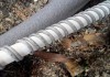 Фото Обогрев труб, обогрев ёмкостей, греющий кабель.