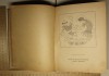 Фото Книга Очерки по истории древних литератур, Коган, 1937 год
