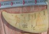 Расписной клык моржа, длина 38 см, цветная гравировка