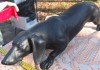 Чугунная статуэтка собака породы Такса, Касли