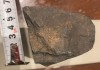Фото Метеорит железный, коллекционный магнитится