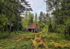 Фото Домик на эстонском хуторе в хвойном лесу под Старым Изборском