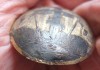 Фото Серебряная накладка на лядунку, серебро 84 пр, начало 19 в
