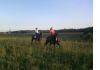 Фото Верховая езда, конные прогулки иппотерапия, обучение.