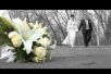 Фото Видeо и фотосъемка свадеб, утренников, выпускных. Рекламные ролики