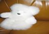 Фото Подарок из меха, белый мишка, плюшевый мишка, круглый ковер