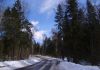 Фото Прилесной земельный участок 
