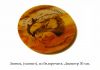 Фото Cувениры из камня с вашей символикой